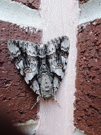 Close-up of heart shape on wall