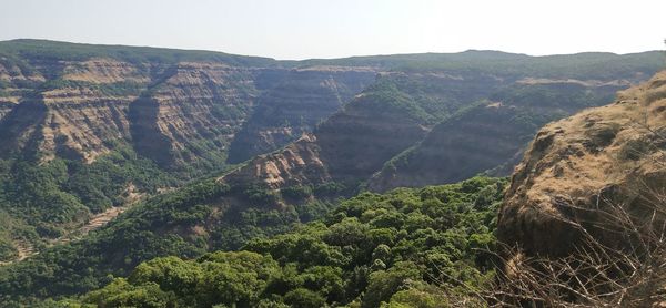 High angle view of trees and mountains