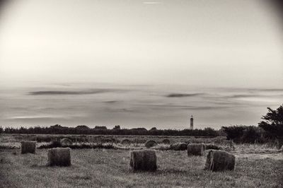 Hay bales on field