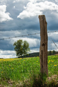 Scenic view of field against sky