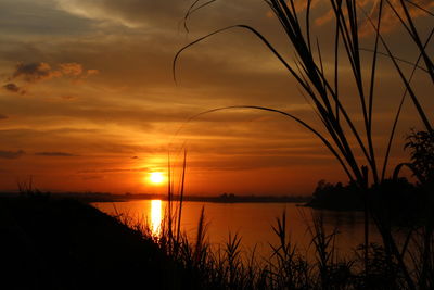 Silhouette, sunset on the river with shadow of the grass