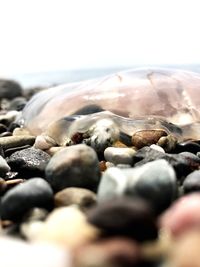 Close-up of pebbles at beach against sky