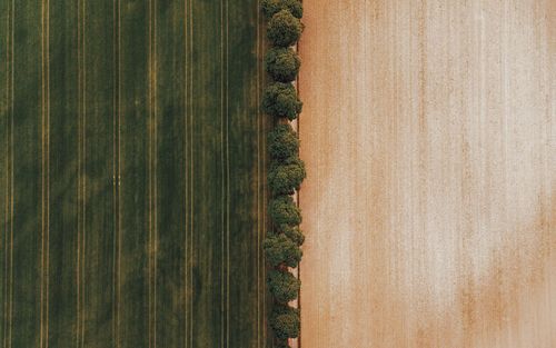 Aerial view of agricultural field