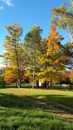 Trees growing on field against clear sky during autumn