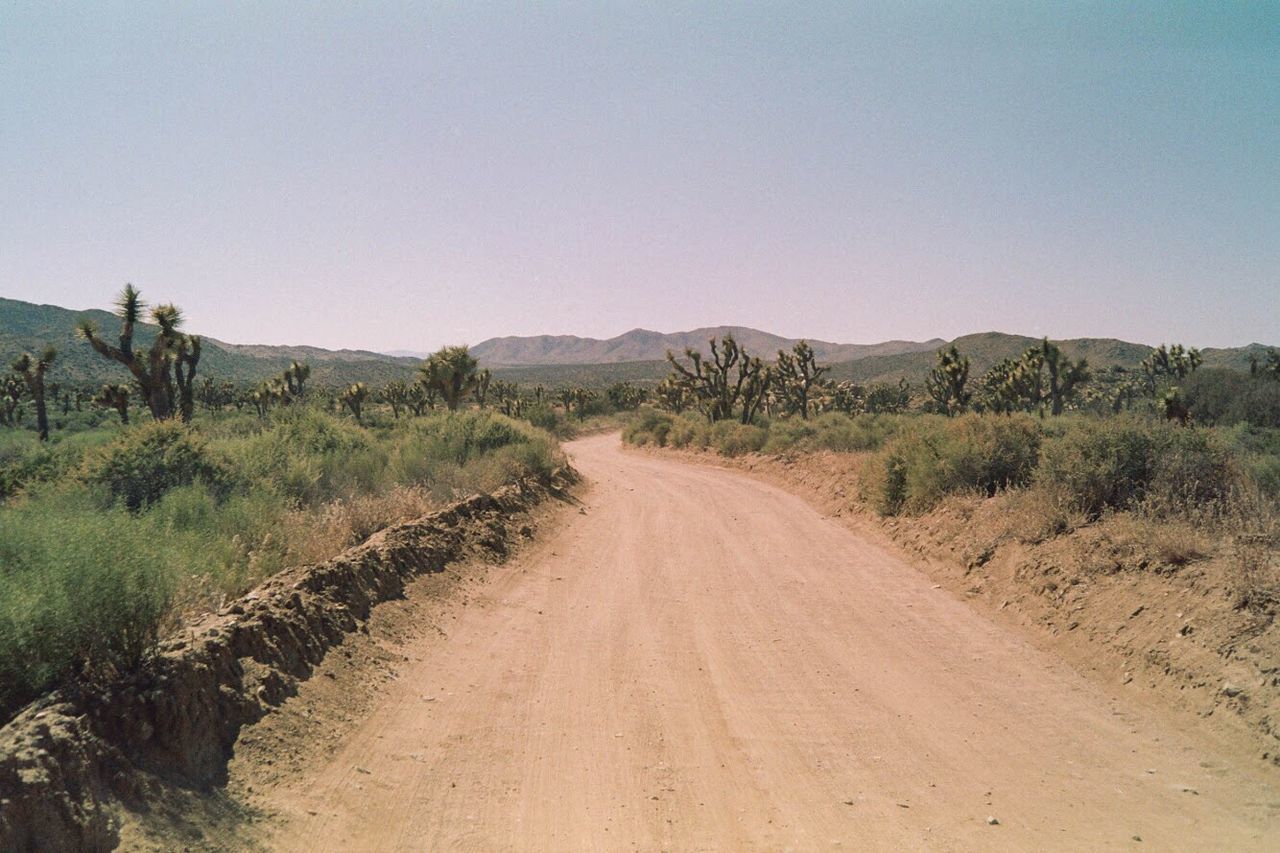 ROAD ALONG LANDSCAPE AGAINST CLEAR SKY