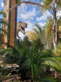 View of palm trees against sky