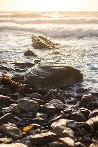 Scenic view of sea during sunset