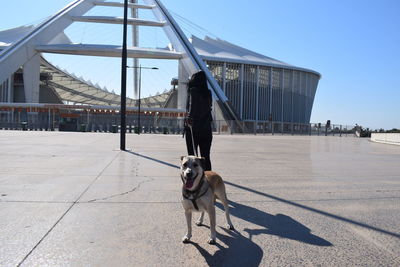 Man with dog on the street