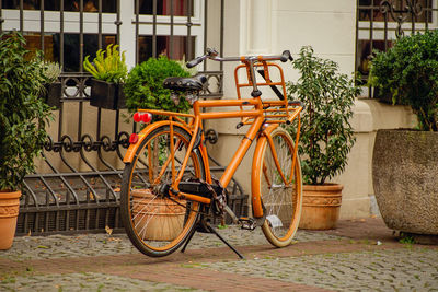 Bicycle parked against plants