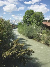 Scenic view of river amidst trees against sky