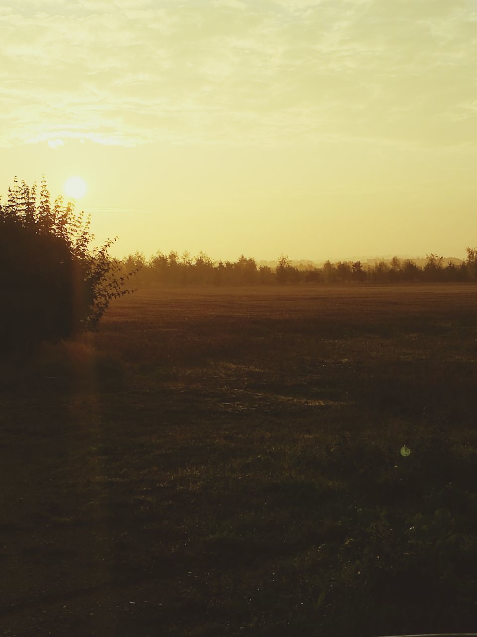 SCENIC VIEW OF LANDSCAPE DURING SUNSET