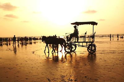 Silhouette people riding bicycles on beach against sky during sunset