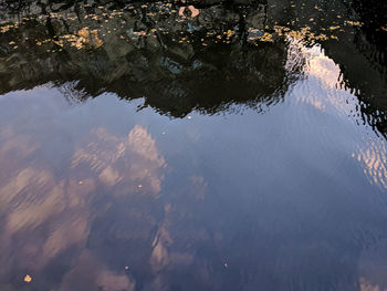 Reflection of trees in lake