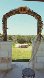 Plants against the sky