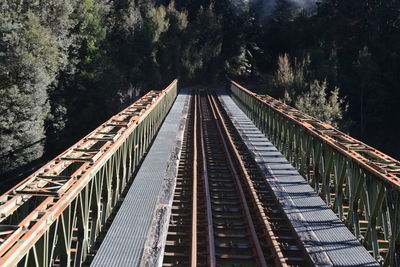 Railroad tracks amidst trees
