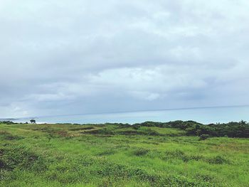 Scenic view of field against sky