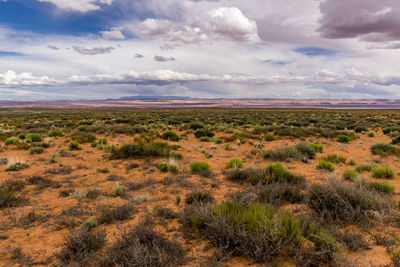 Scenic view of landscape against sky