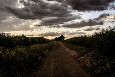 Road amidst field against sky