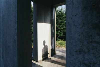 Shadow of person on wall