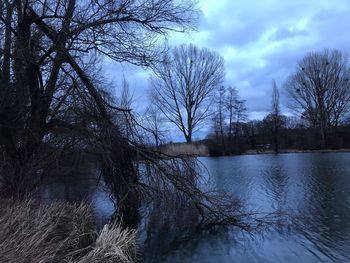 Bare trees by lake against sky