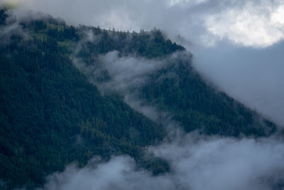 Amazing fog / clouds
