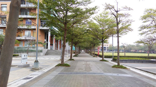Street amidst trees and buildings in city