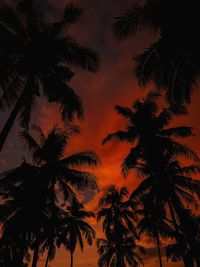 Low angle view of silhouette palm trees against romantic sky