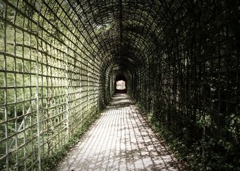 Walkway amidst trees in sunlight