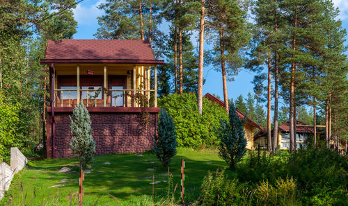 House amidst trees and plants growing on building