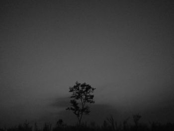 Low angle view of bare trees against sky