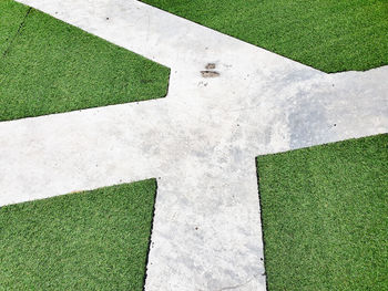 High angle view of green leaf on field