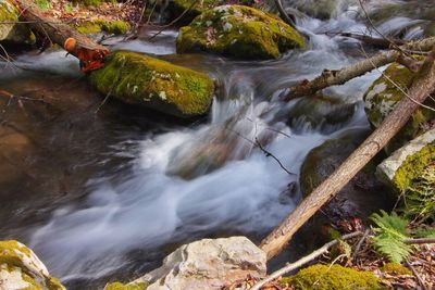 View of waterfall in forest