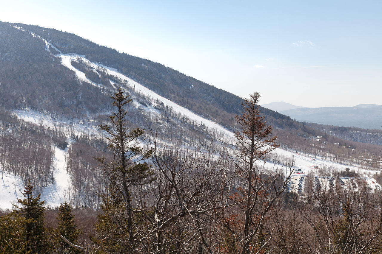 SCENIC VIEW OF SNOW COVERED LANDSCAPE AGAINST SKY