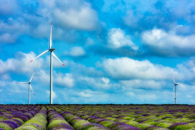 Low angle view of windmills on field against sky