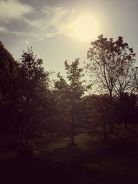 Trees on field against cloudy sky