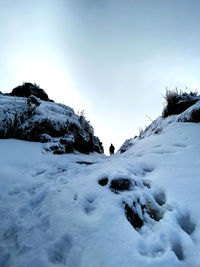 Snow covered plants against sky