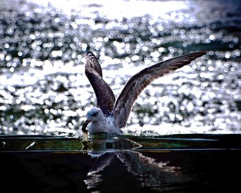 Close-up of water