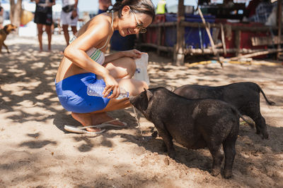 Happy woman giving water to wild pig from the bottle in the park