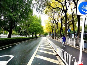 Road passing through forest