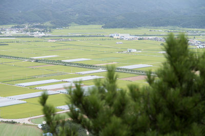 Scenic view of agricultural field