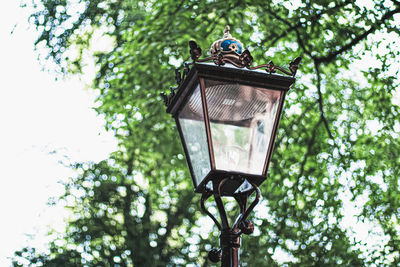 Low angle view of street light against trees