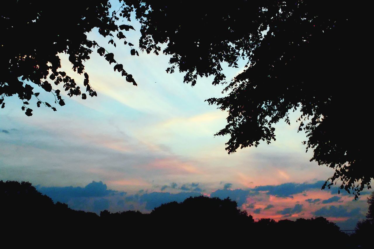 silhouette, sky, tree, tranquility, tranquil scene, scenics, beauty in nature, sunset, cloud - sky, nature, low angle view, idyllic, cloud, cloudy, dark, dusk, outline, dramatic sky, landscape, outdoors