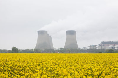 View of oilseed rape field against sky