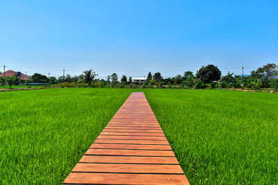 Footpath on field against sky