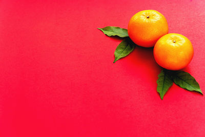 Close-up of orange fruit against red background