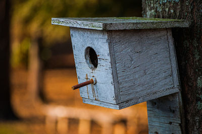 Close-up of wooden bird house