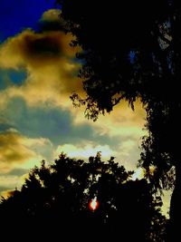 Silhouette of trees against cloudy sky