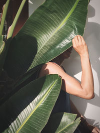 Midsection of woman with leaves against plants