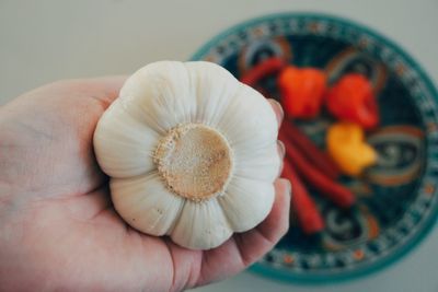 Close-up of hand holding garlic