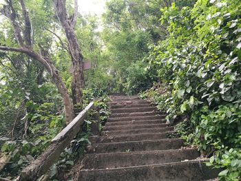 Low angle view of trees